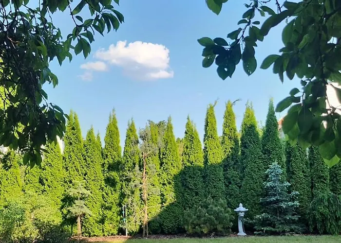 Princess Palace فيلة *